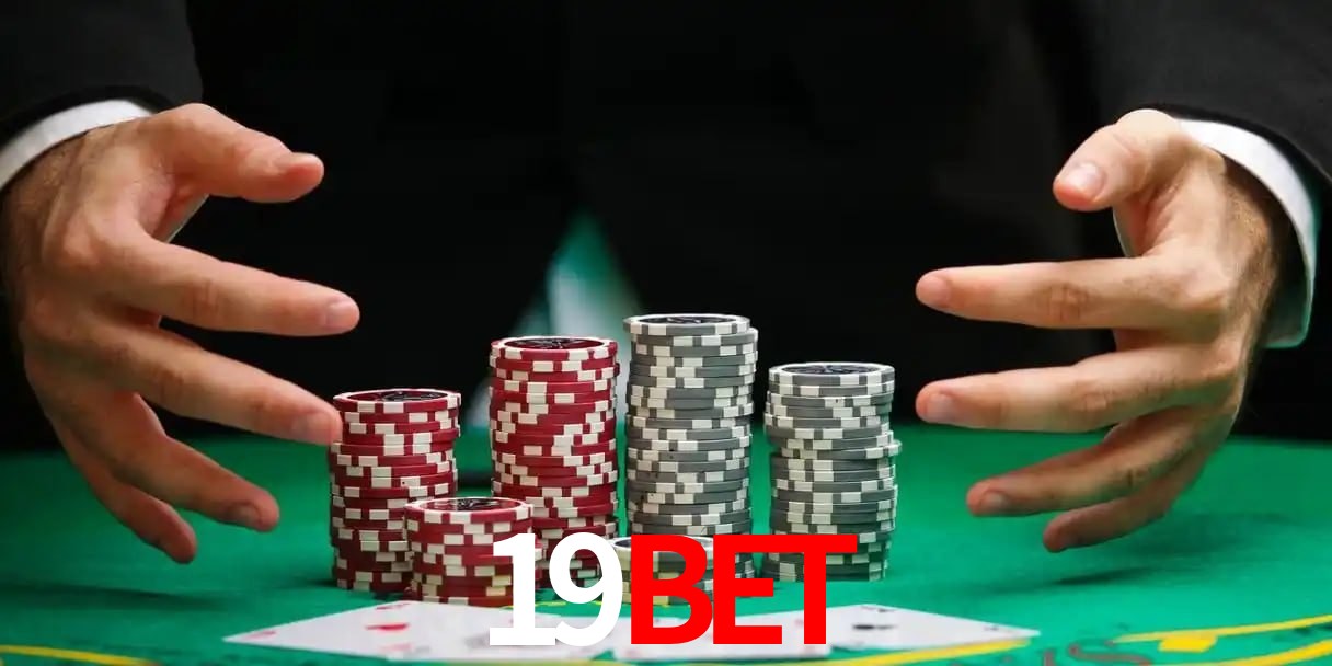 19bet telegram