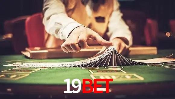 Live Casino 19bet